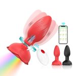 صورة المنتج التالي