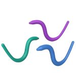 下一个商品图像